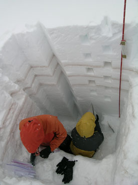 dust layers as seen in snow pit