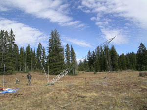 assembly of bare tower