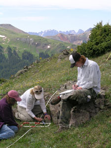 identifying plant species at Senator Beck Basin